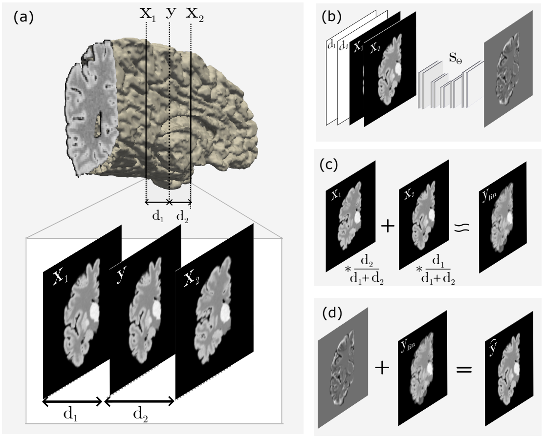 neuropathology